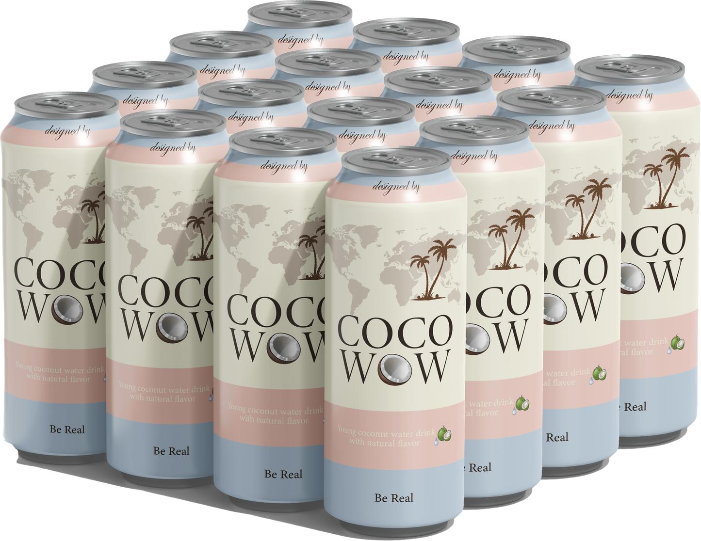 Young Coconut Water Drink Natural Flavor